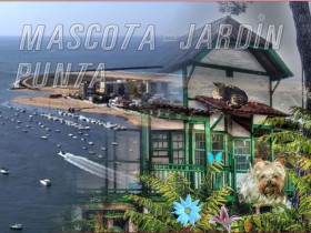 Mascota Jardin Punta